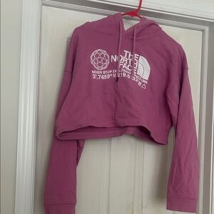 The North Face Pink Cropped Hoodie